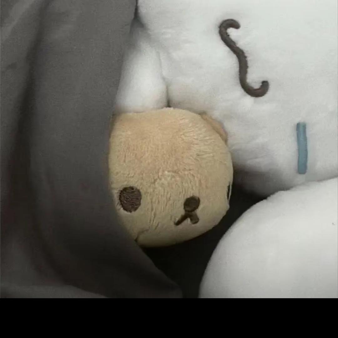 我女朋友最可爱