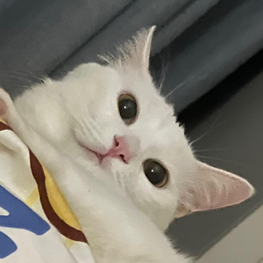 _光喻_