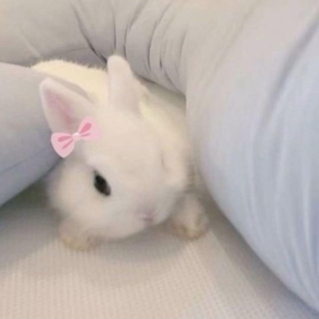 uu^