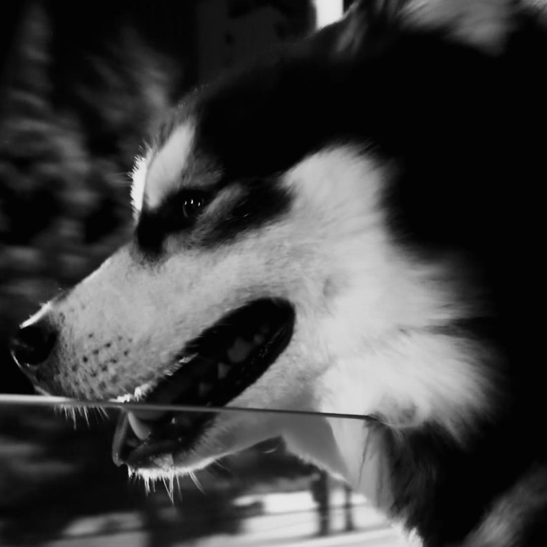 想和她一起去大城市吃一次kfc.