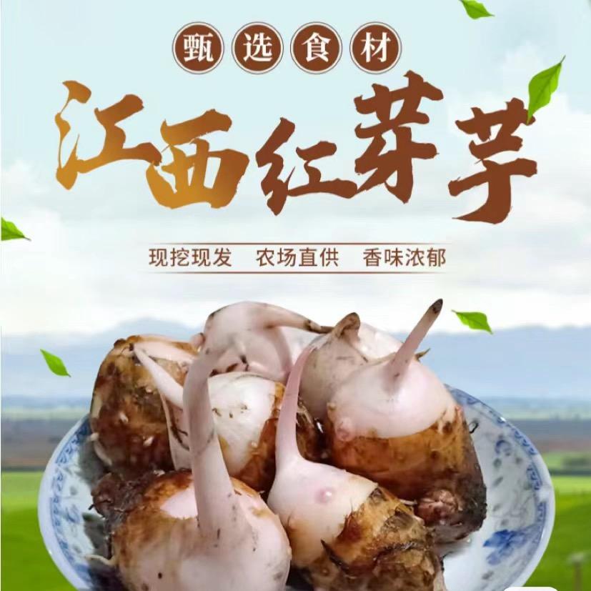 AAA巧农人