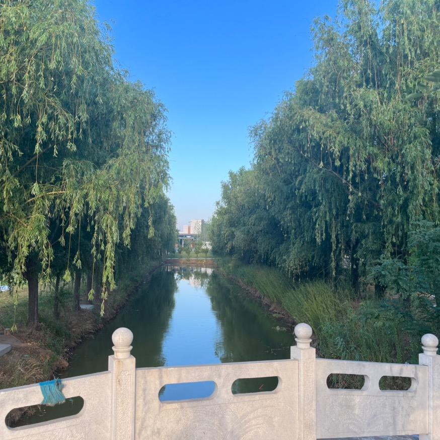 才哥 不是传说……