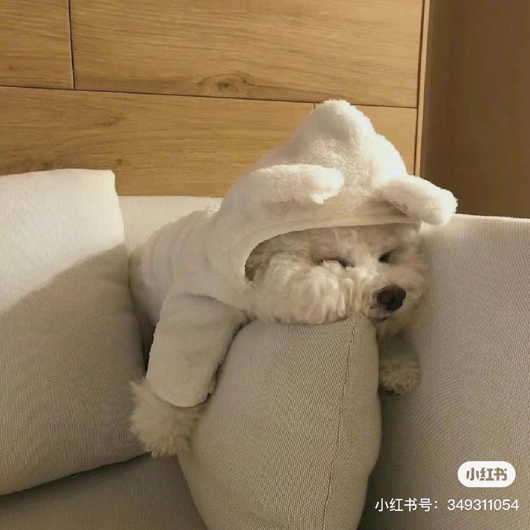 小张很哇塞