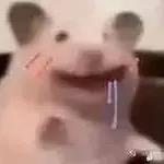 大润发不相信眼泪