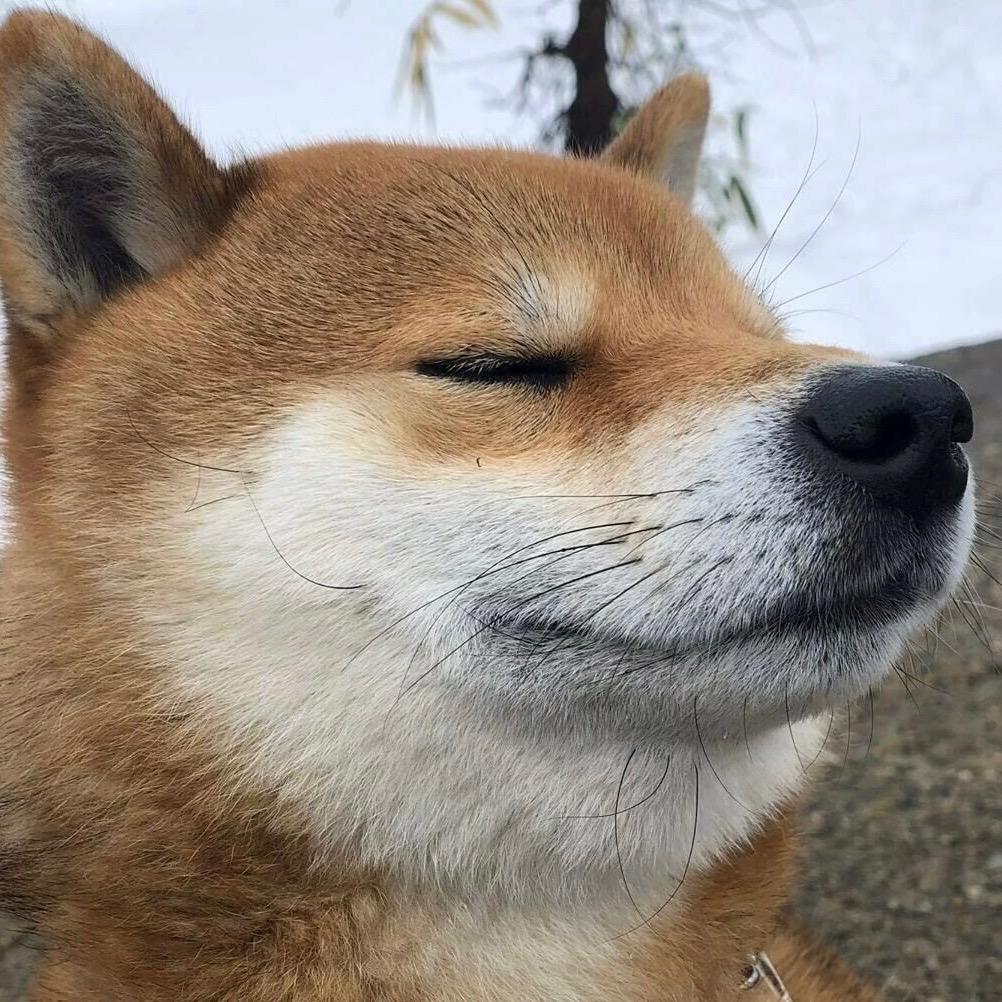 天空沉默的紫薯