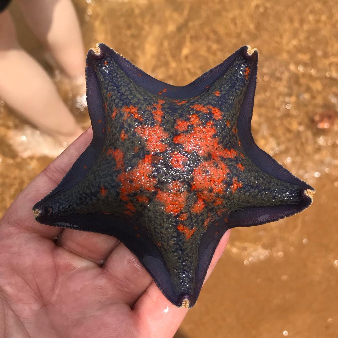 马赛克