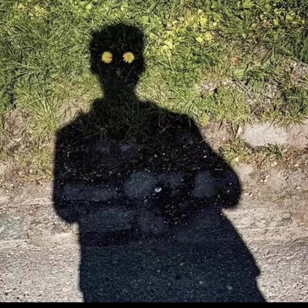 李富贵爱养珊瑚🪸