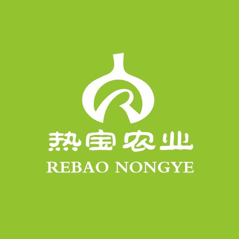 热宝农业一号店【独头蒜】