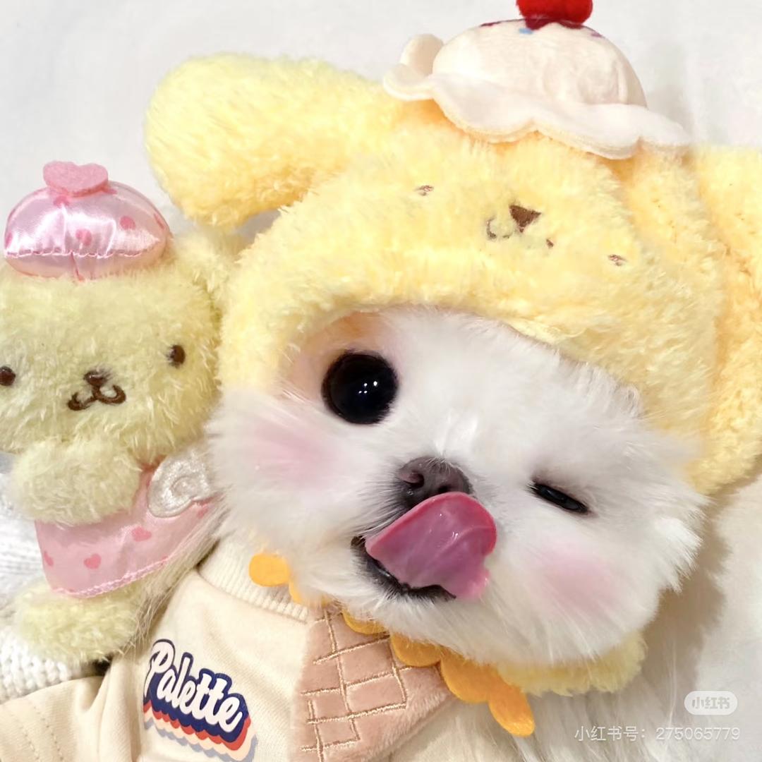 别碰我刘海ᗦ↞︎◃︎