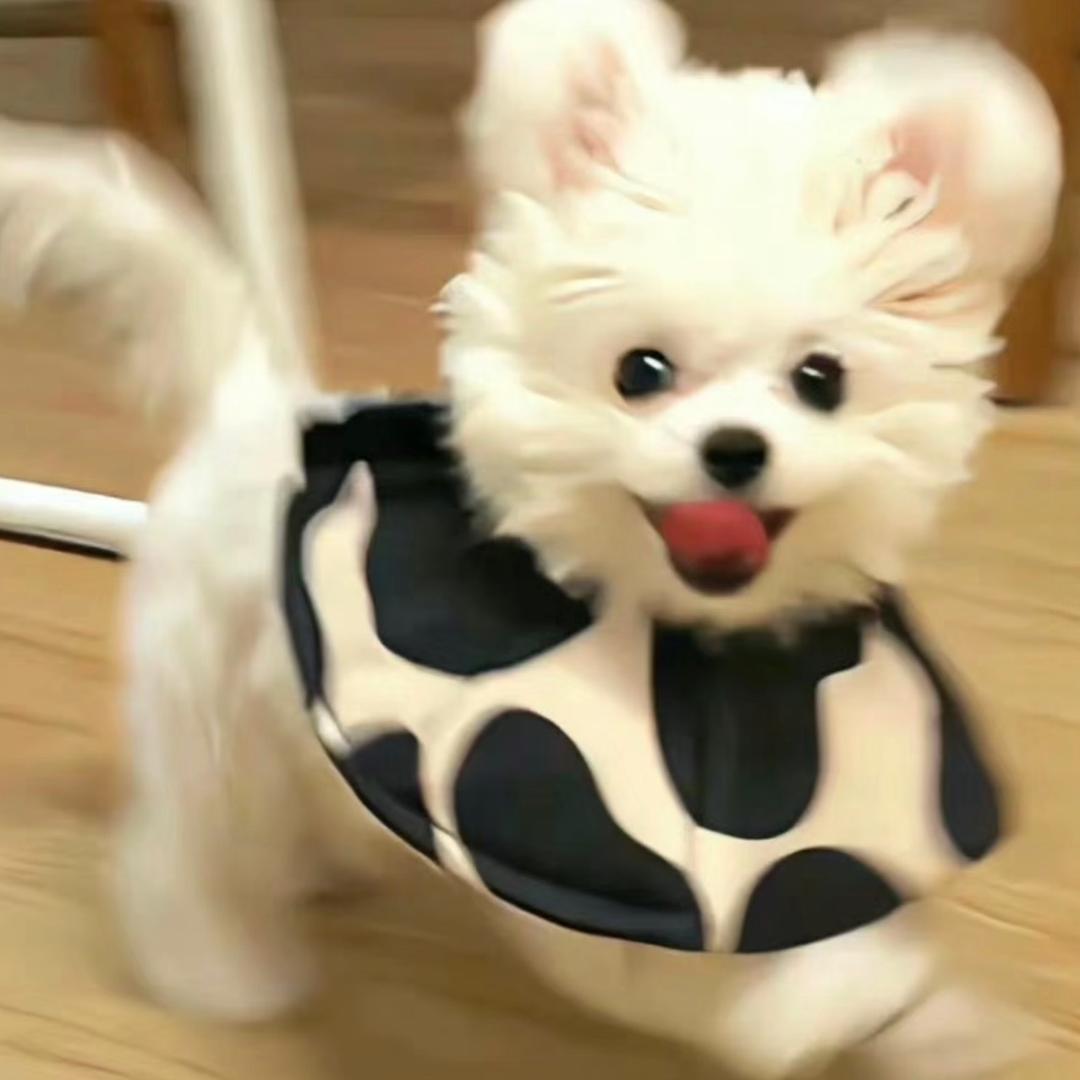 喝酸奶