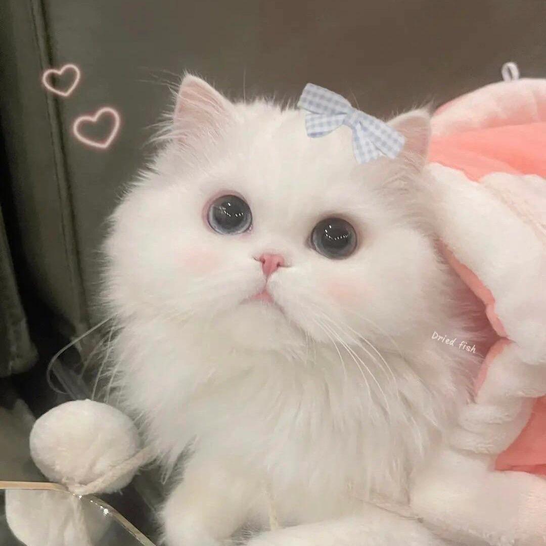 小困熊.