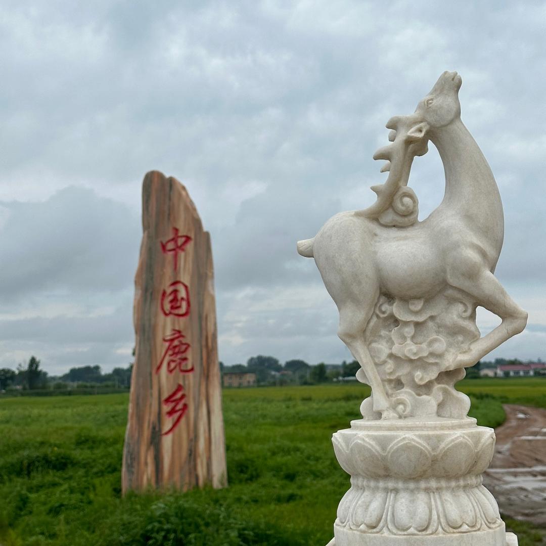 万物生滋补专营店