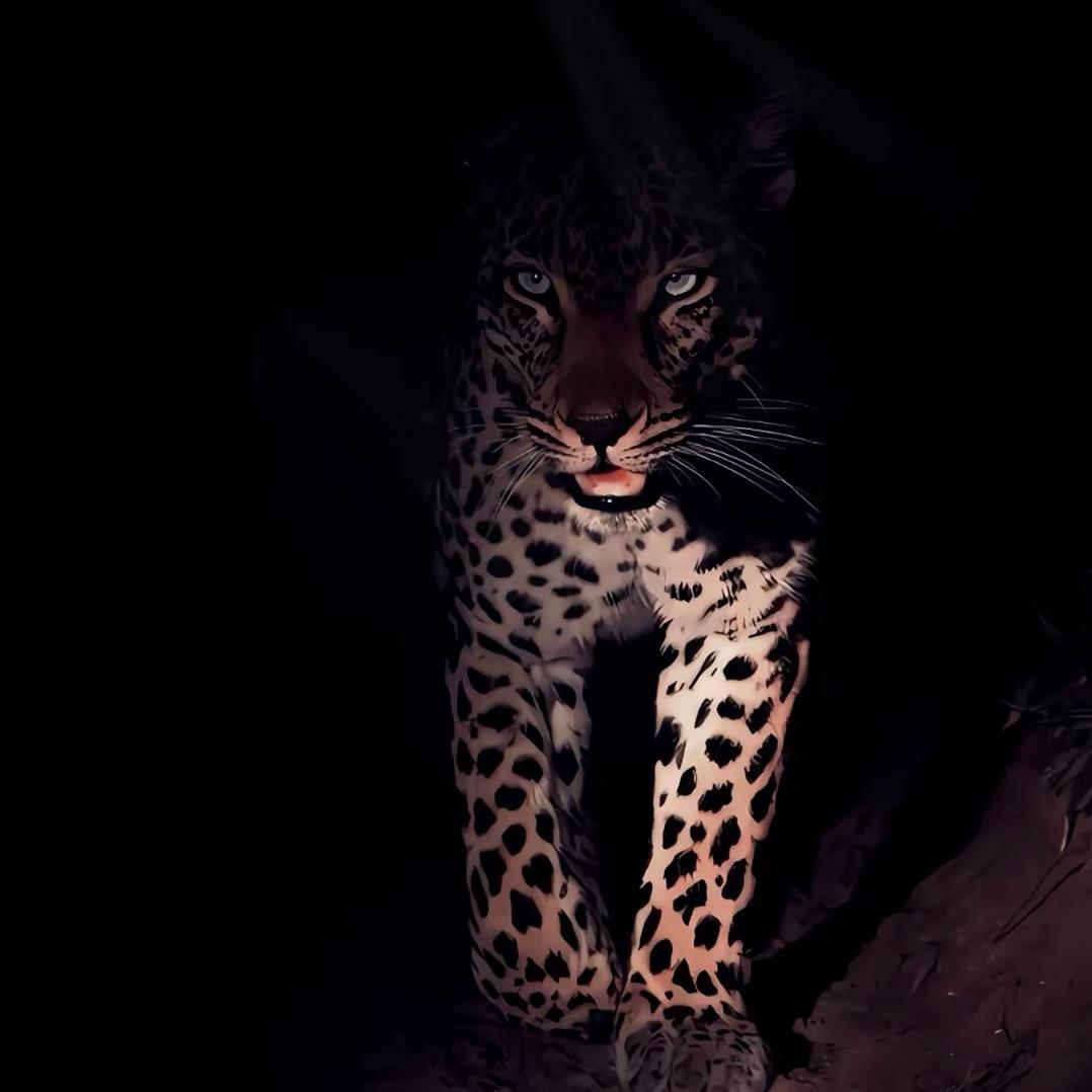 𝐃𝐙𝐥𝐚𝐧𝐠𝐉.⛽️