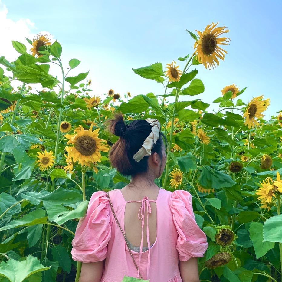 莎莎酱🌻