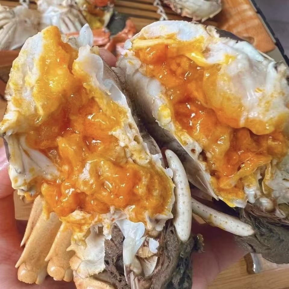 苏州阳澄金标湖蟹