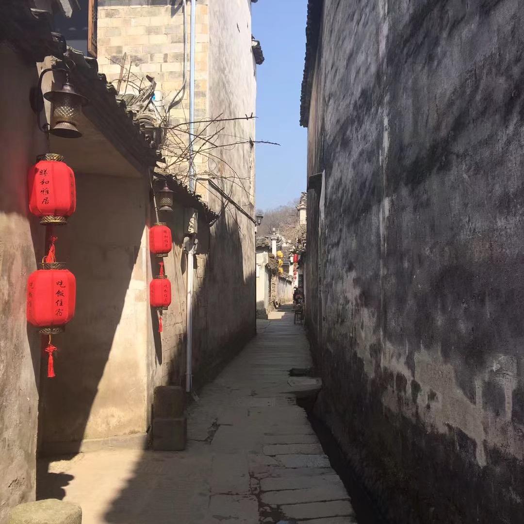 徐老师(小✖️小旭不收米