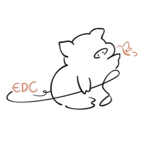 小猪冲欧EDC（正品版