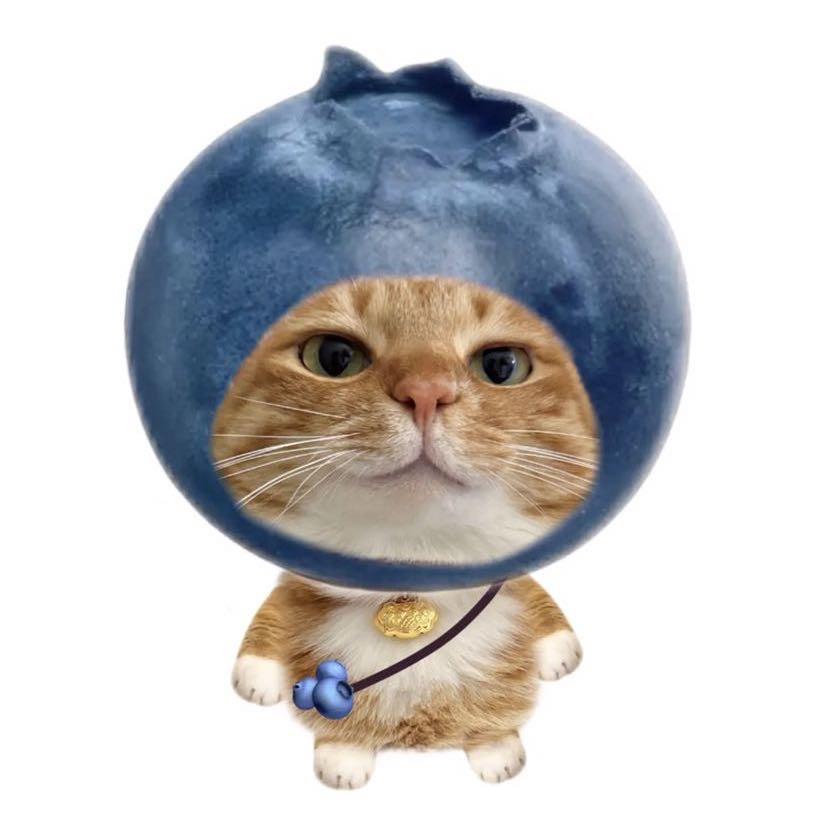 你个乐子(๑•̌.•̑๑)ˀ̣ˀ̣