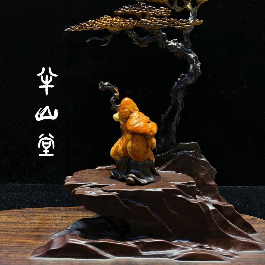 新石代云购甄选