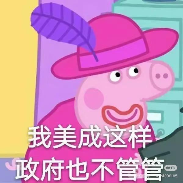 小猪佩奇二舅妈🐷