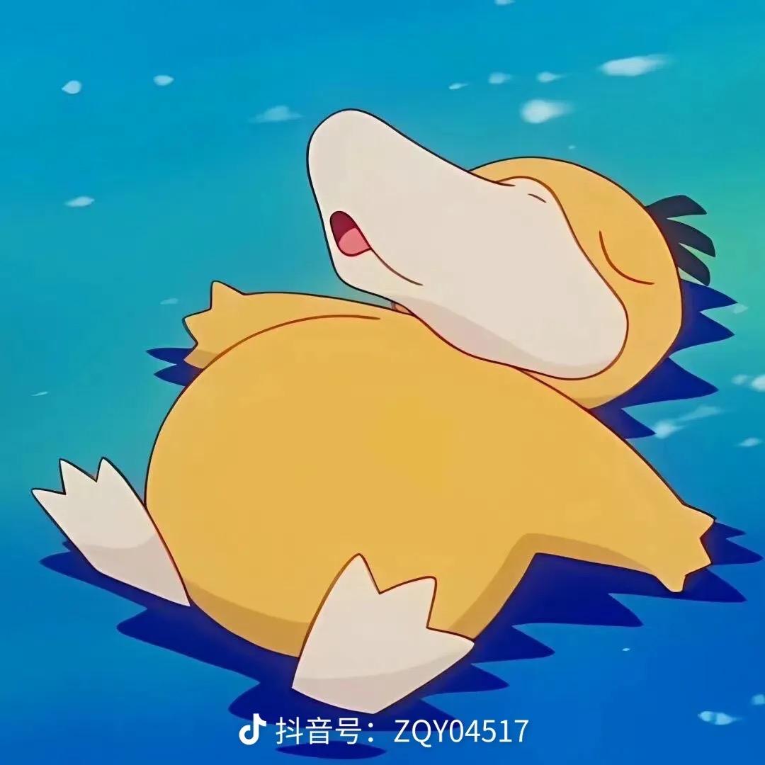 爱睡觉