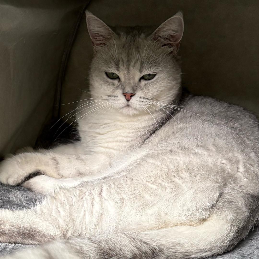 我的名字叫波妞～