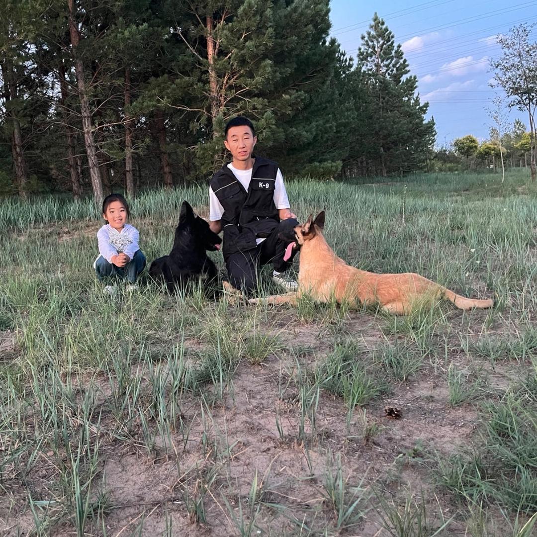 锡盟喜阳训犬（接带训）