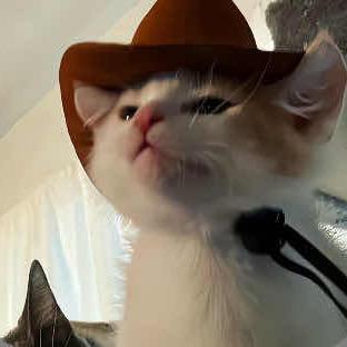 AAA-重卡司机涛哥（专跑国道）