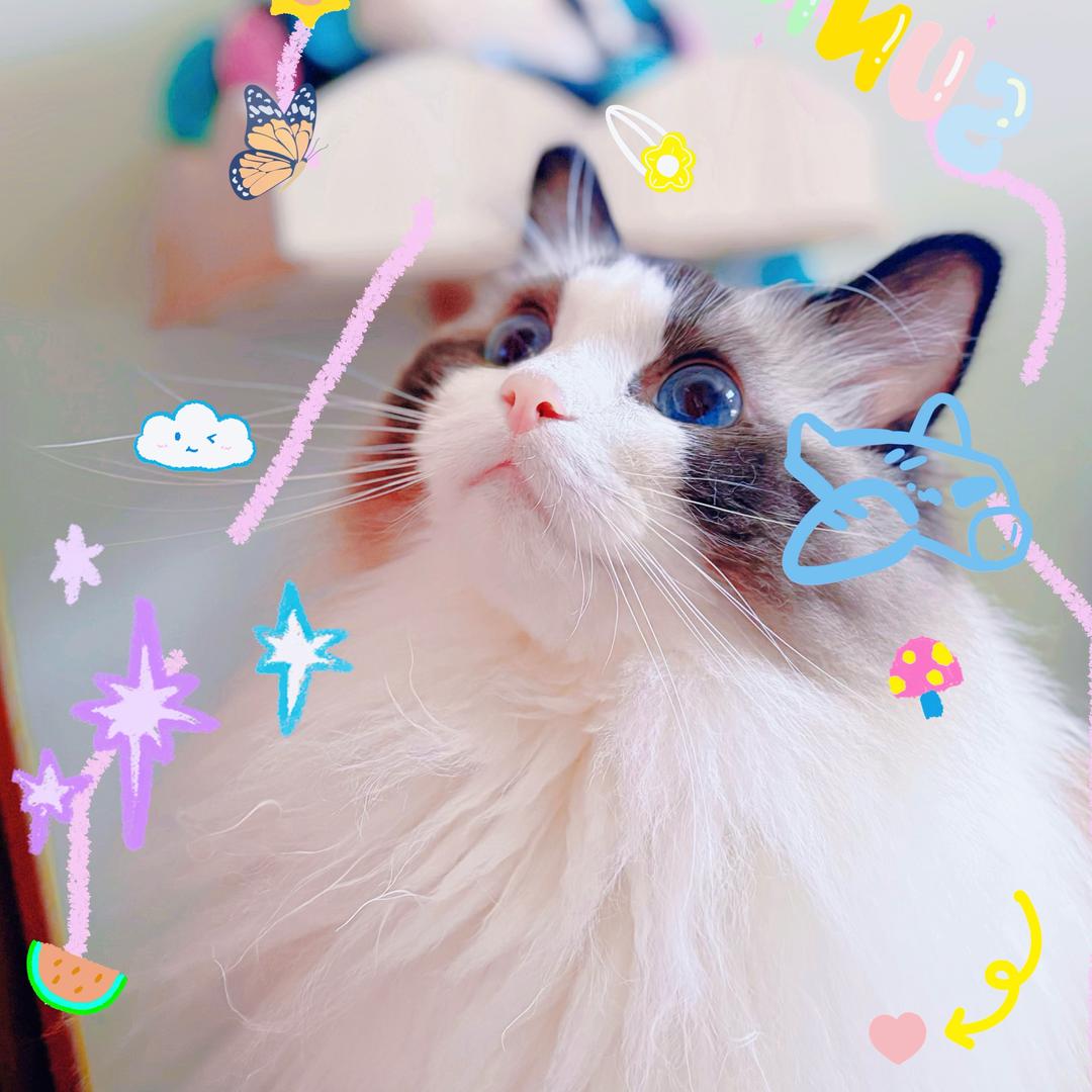 菜得抠脚💕