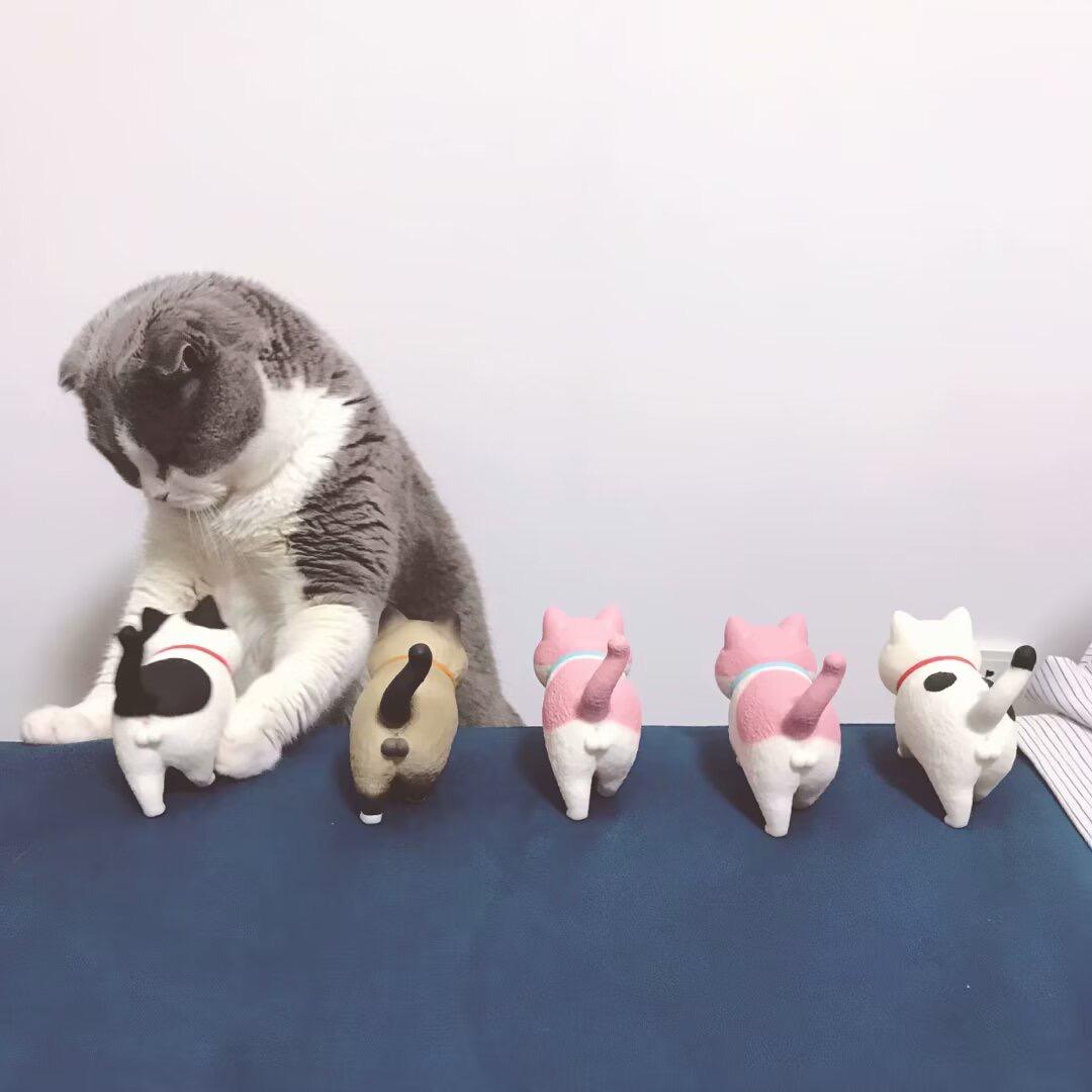 一条煎蛋卷