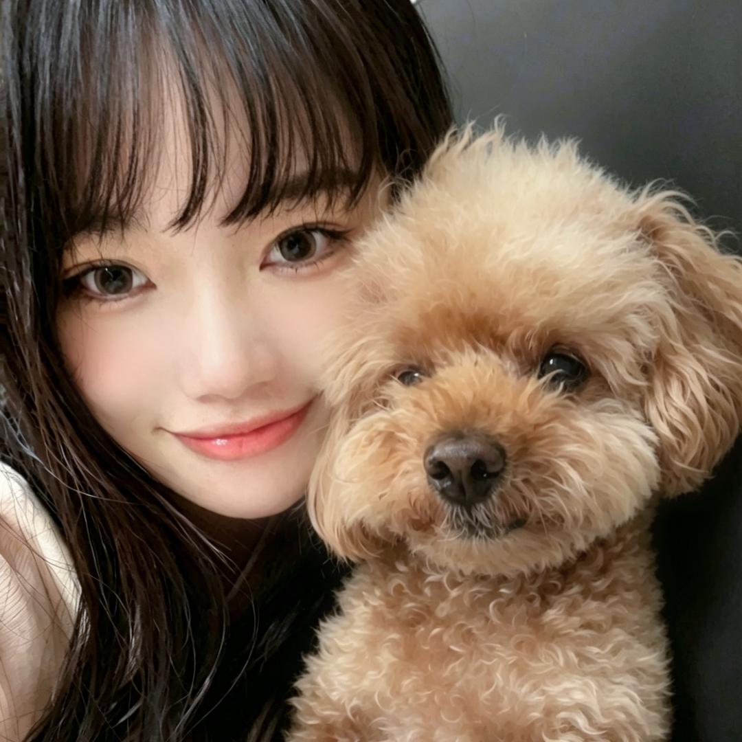 美梦熊头像