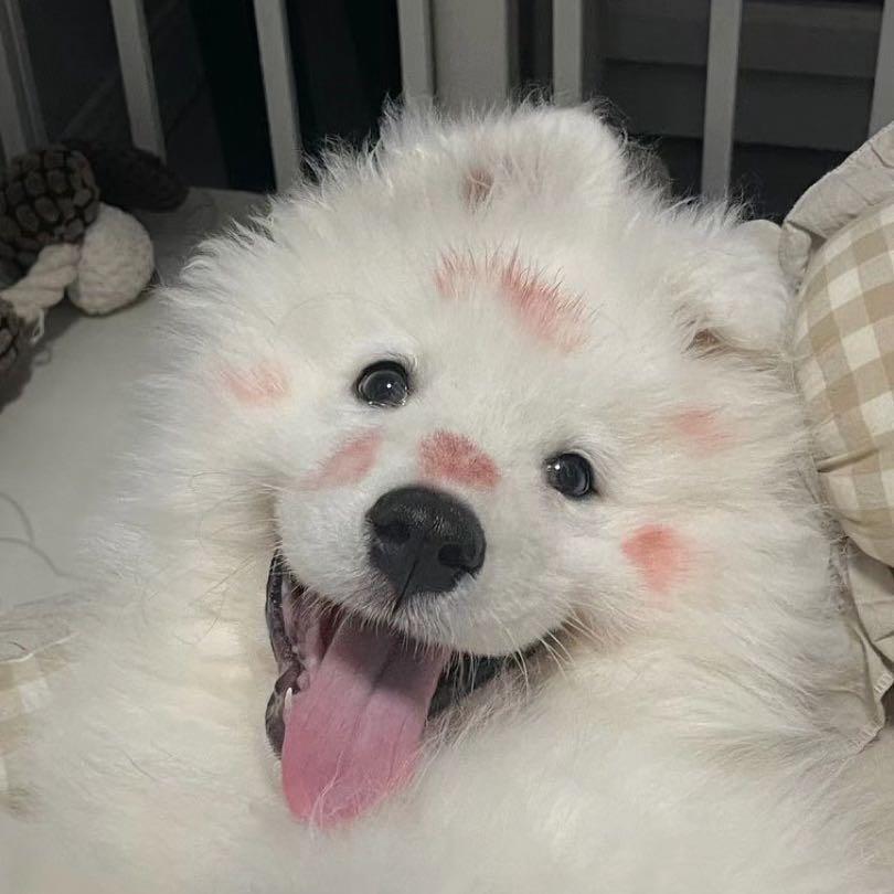 爹爸 我鬼混回来啦