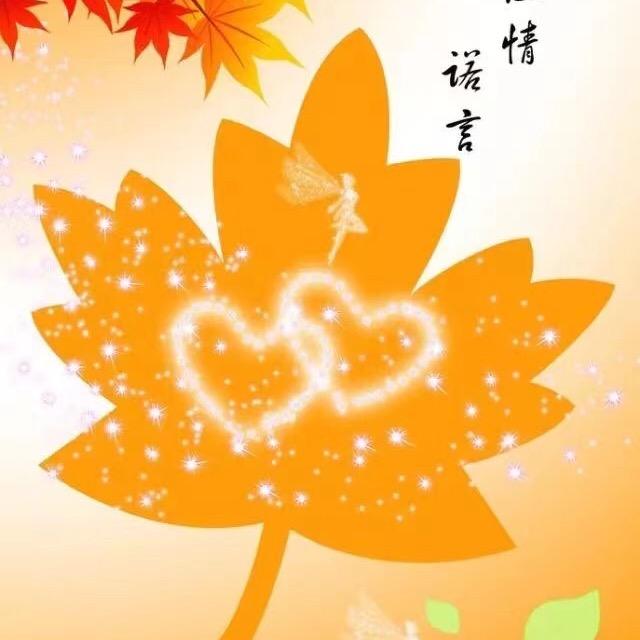含枫