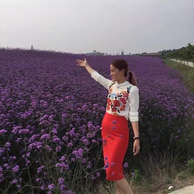 小草莓🍓🎀🎊