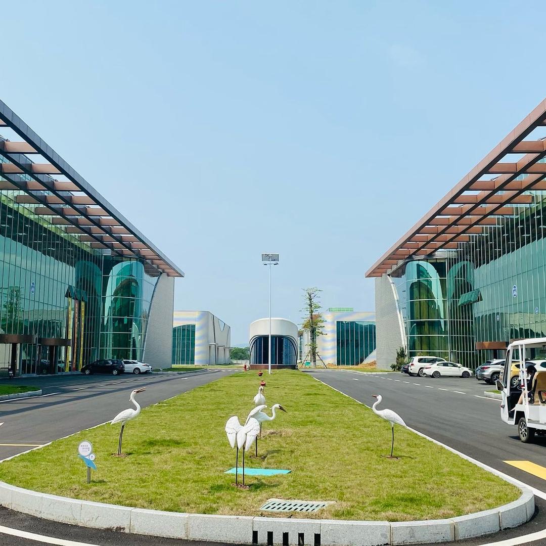 小轩轩同学🇨🇳