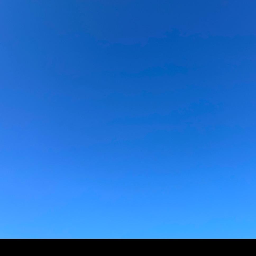 泰瑞宝