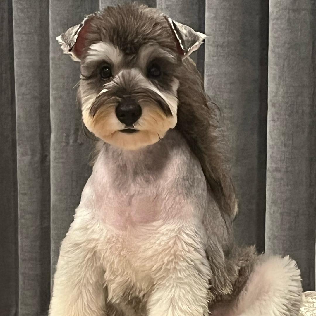 福垚宠域·金爪福垚宠域