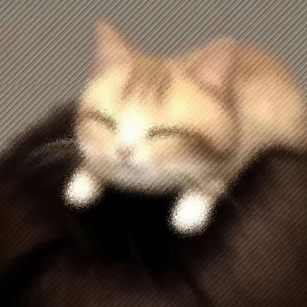 猪泥发财