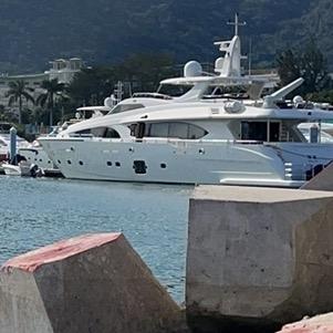 深圳湾༓独角兽🌊🌊