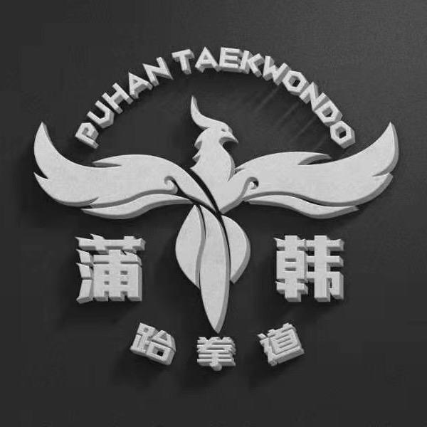 河源泰山教跆拳道