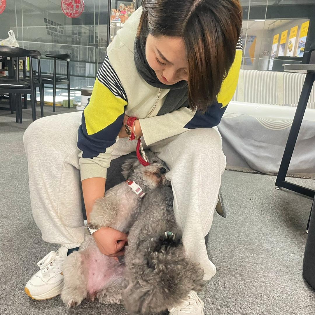 爱吃糖葫芦的晴天