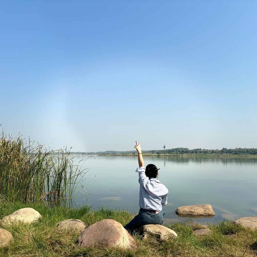 红薯叶🍀