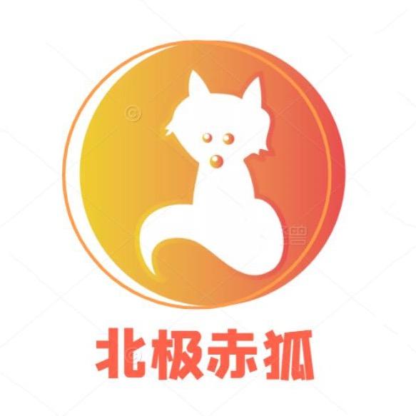 北极小赤狐
