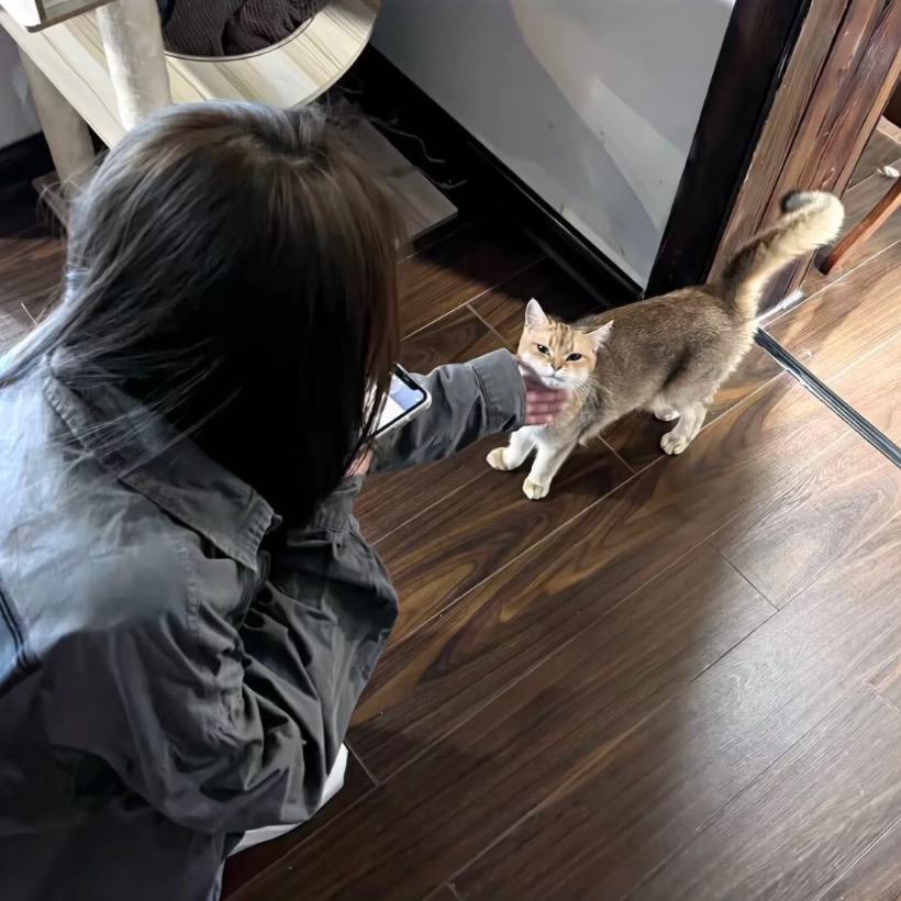 Hrui❣️