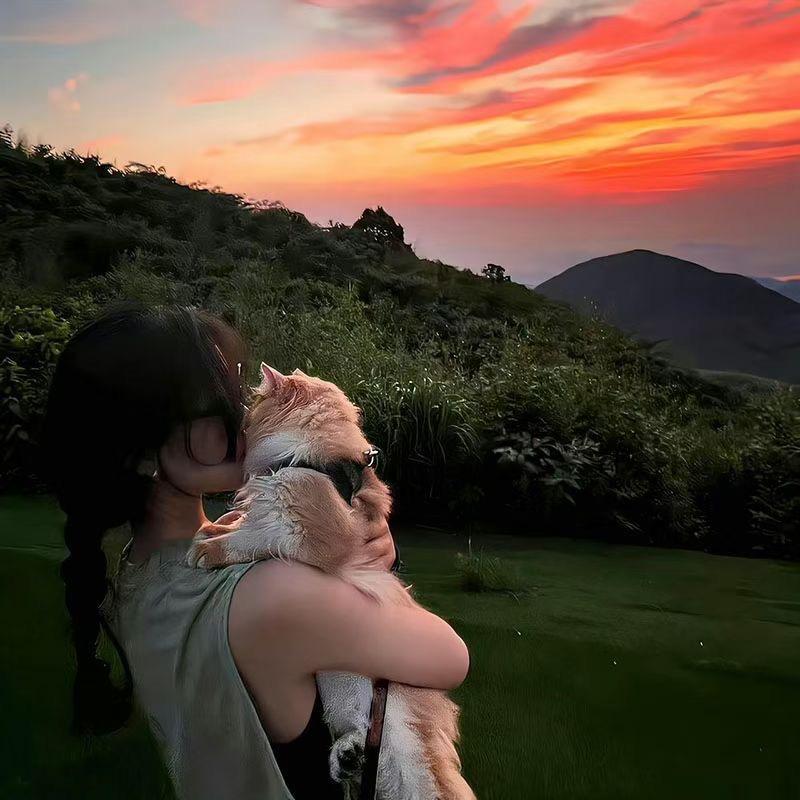 美美hhhh