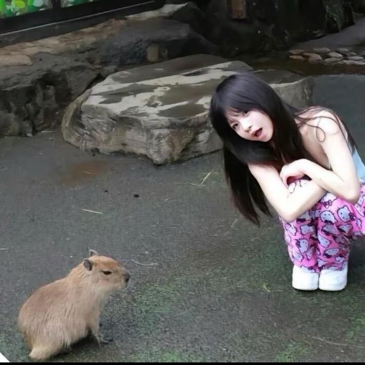一条纯爱鱼