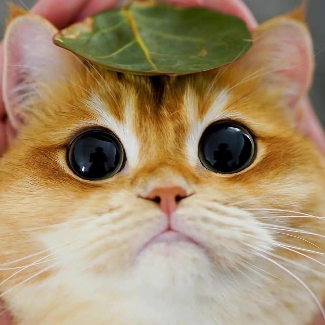 再见容易再见难