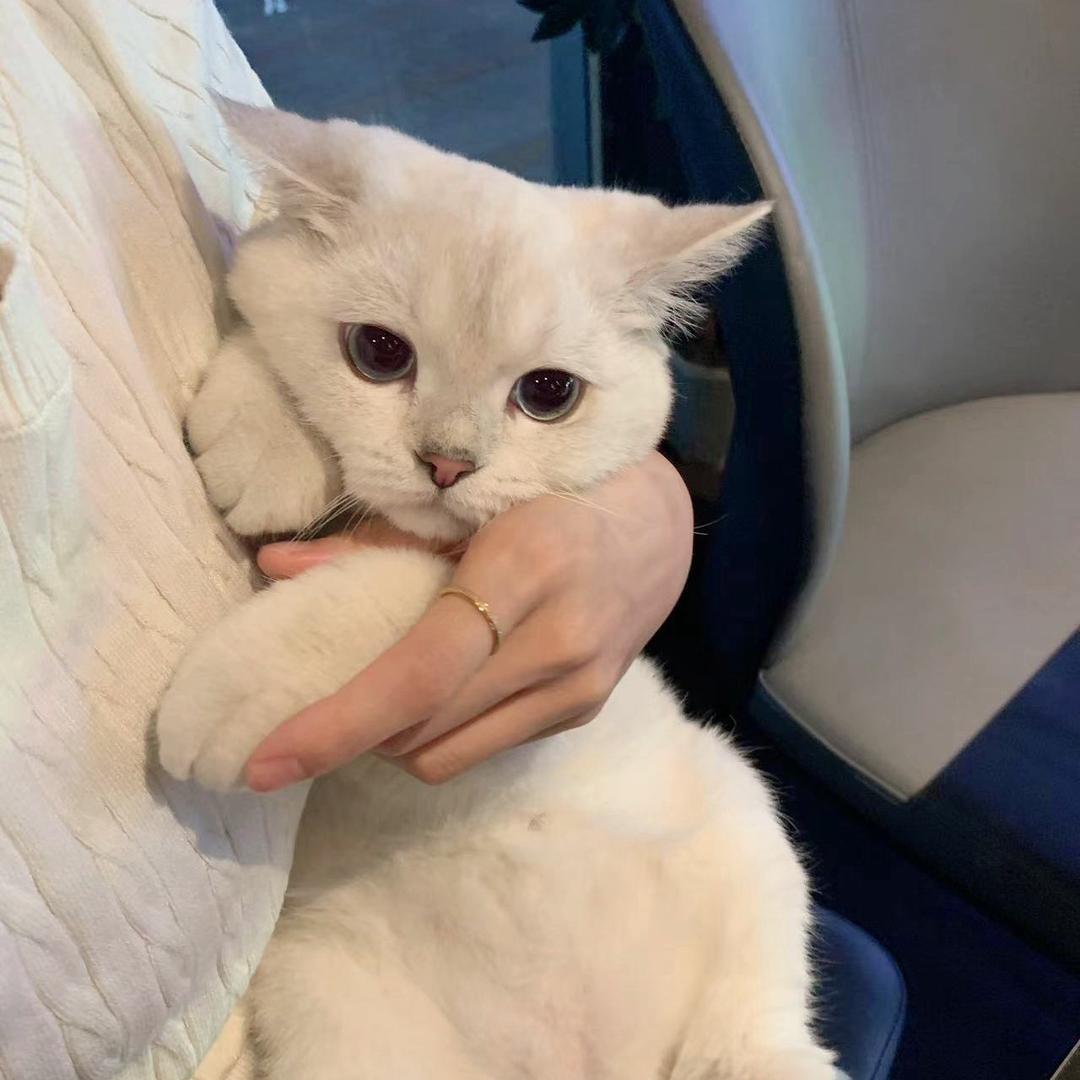 ︶塵埃似錦丶終究是戲_