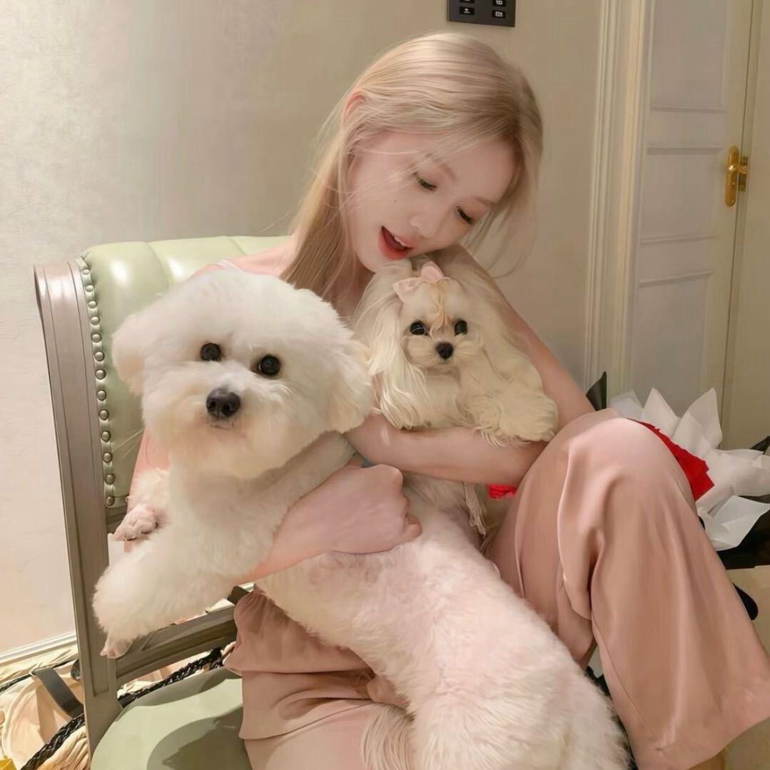 瑶瑶🛍️（好物分享）