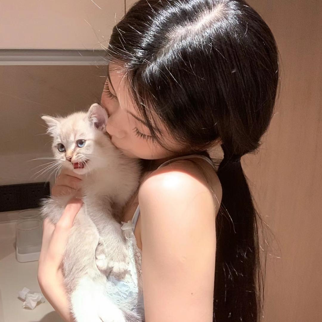 杨淳